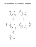 INTERLEUKIN-1 AND TUMOR NECROSIS FACTOR-ALPHA MODULATORS; SYNTHESES OF     SUCH MODULATORS AND METHODS OF USING SUCH MODULATORS diagram and image