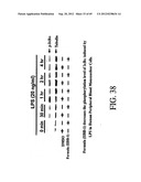 INTERLEUKIN-1 AND TUMOR NECROSIS FACTOR-ALPHA MODULATORS; SYNTHESES OF     SUCH MODULATORS AND METHODS OF USING SUCH MODULATORS diagram and image