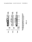 INTERLEUKIN-1 AND TUMOR NECROSIS FACTOR-ALPHA MODULATORS; SYNTHESES OF     SUCH MODULATORS AND METHODS OF USING SUCH MODULATORS diagram and image