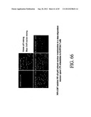 INTERLEUKIN-1 AND TUMOR NECROSIS FACTOR-ALPHA MODULATORS; SYNTHESES OF     SUCH MODULATORS AND METHODS OF USING SUCH MODULATORS diagram and image