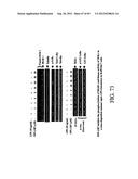 INTERLEUKIN-1 AND TUMOR NECROSIS FACTOR-ALPHA MODULATORS; SYNTHESES OF     SUCH MODULATORS AND METHODS OF USING SUCH MODULATORS diagram and image