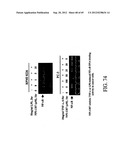 INTERLEUKIN-1 AND TUMOR NECROSIS FACTOR-ALPHA MODULATORS; SYNTHESES OF     SUCH MODULATORS AND METHODS OF USING SUCH MODULATORS diagram and image