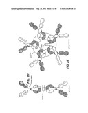 MULTIVALENT ANTIBODIES AND USES THEREFOR diagram and image