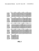 MULTIVALENT ANTIBODIES AND USES THEREFOR diagram and image