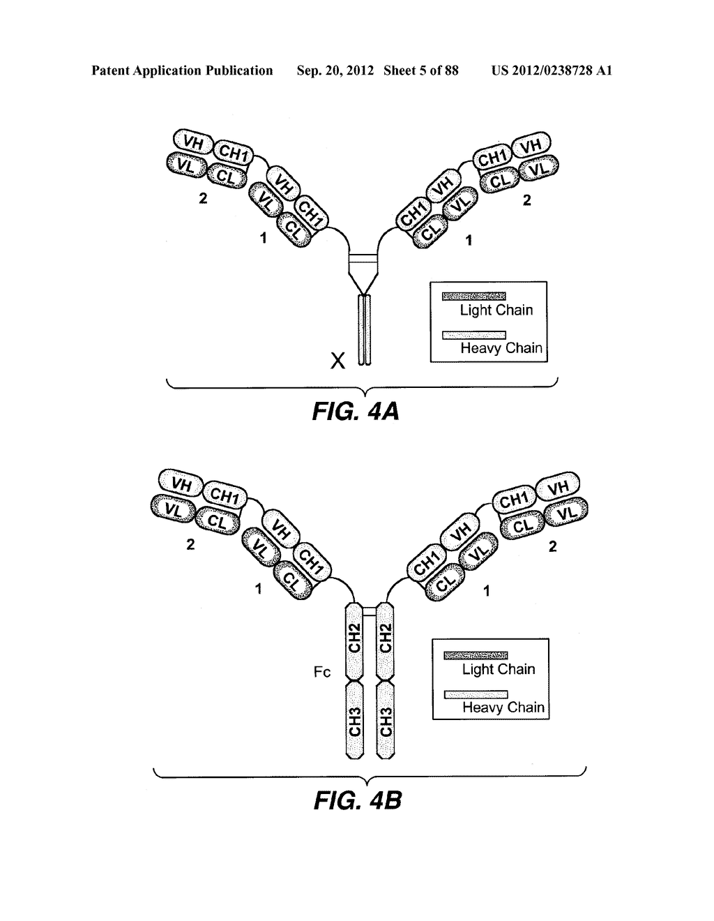 MULTIVALENT ANTIBODIES AND USES THEREFOR - diagram, schematic, and image 06