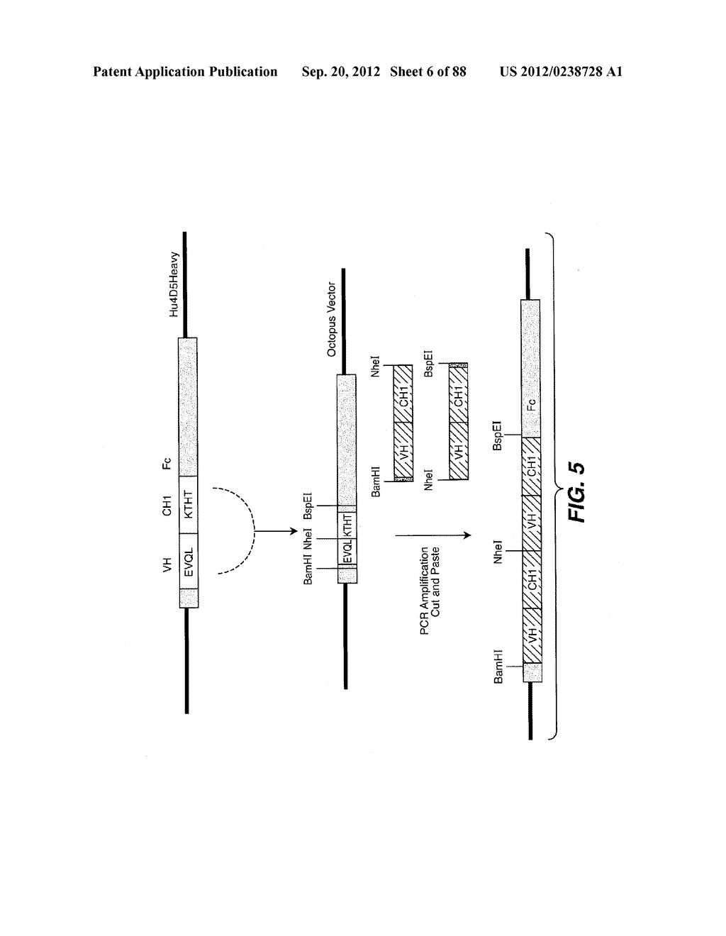 MULTIVALENT ANTIBODIES AND USES THEREFOR - diagram, schematic, and image 07