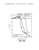 MULTIVALENT ANTIBODIES AND USES THEREFOR diagram and image