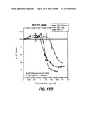 MULTIVALENT ANTIBODIES AND USES THEREFOR diagram and image