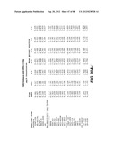 MULTIVALENT ANTIBODIES AND USES THEREFOR diagram and image