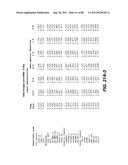 MULTIVALENT ANTIBODIES AND USES THEREFOR diagram and image