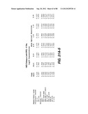 MULTIVALENT ANTIBODIES AND USES THEREFOR diagram and image