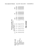 MULTIVALENT ANTIBODIES AND USES THEREFOR diagram and image