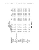 MULTIVALENT ANTIBODIES AND USES THEREFOR diagram and image