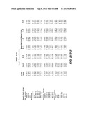 MULTIVALENT ANTIBODIES AND USES THEREFOR diagram and image