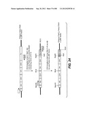 MULTIVALENT ANTIBODIES AND USES THEREFOR diagram and image