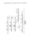 MULTIVALENT ANTIBODIES AND USES THEREFOR diagram and image