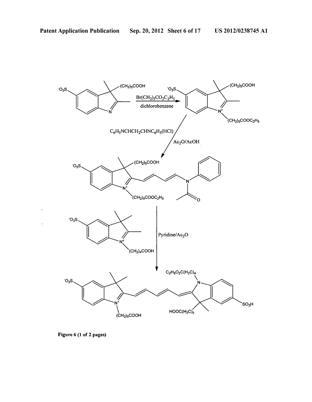 Fluorescent dyes - diagram, schematic, and image 07