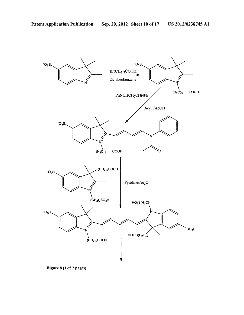 Fluorescent dyes - diagram, schematic, and image 11