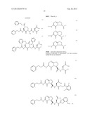 INHIBITORS OF INTERLEUKIN-1 BETA CONVERTING ENZYME diagram and image