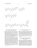 INHIBITORS OF INTERLEUKIN-1 BETA CONVERTING ENZYME diagram and image