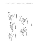 ASYMMETRIC SYNTHESIS OF ROCAGLAMIDES VIA ENANTIOSELECTIVE     PHOTOCYCLOADDITION MEDIATED BY CHIRAL BRONSTED ACIDS diagram and image