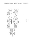 ASYMMETRIC SYNTHESIS OF ROCAGLAMIDES VIA ENANTIOSELECTIVE     PHOTOCYCLOADDITION MEDIATED BY CHIRAL BRONSTED ACIDS diagram and image