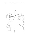 NONLINEAR OPTICAL DEVICE, MULTIPHOTON MICROSCOPE, AND ENDOSCOPE diagram and image