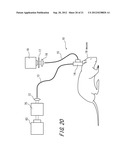 NONLINEAR OPTICAL DEVICE, MULTIPHOTON MICROSCOPE, AND ENDOSCOPE diagram and image