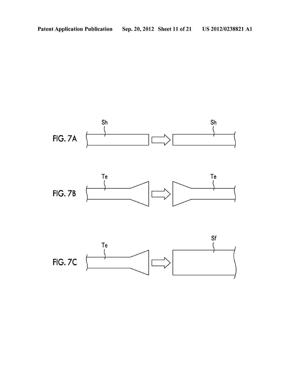 OPTICAL CONNECTOR AND ENDOSCOPE SYSTEM - diagram, schematic, and image 12