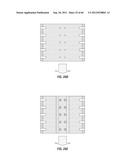 Sample capture in one step for test strips diagram and image