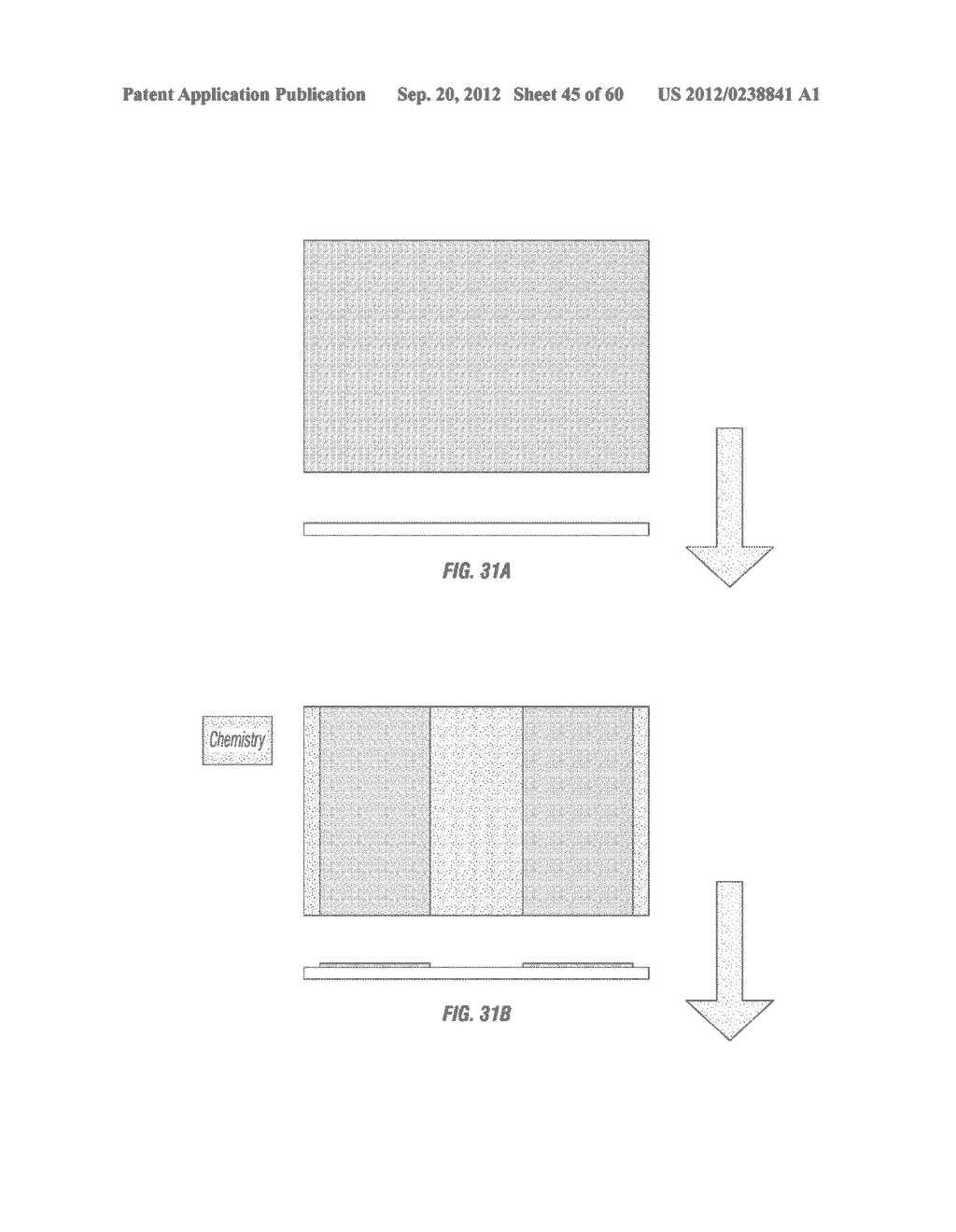 Sample capture in one step for test strips - diagram, schematic, and image 46