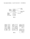 Sample capture in one step for test strips diagram and image