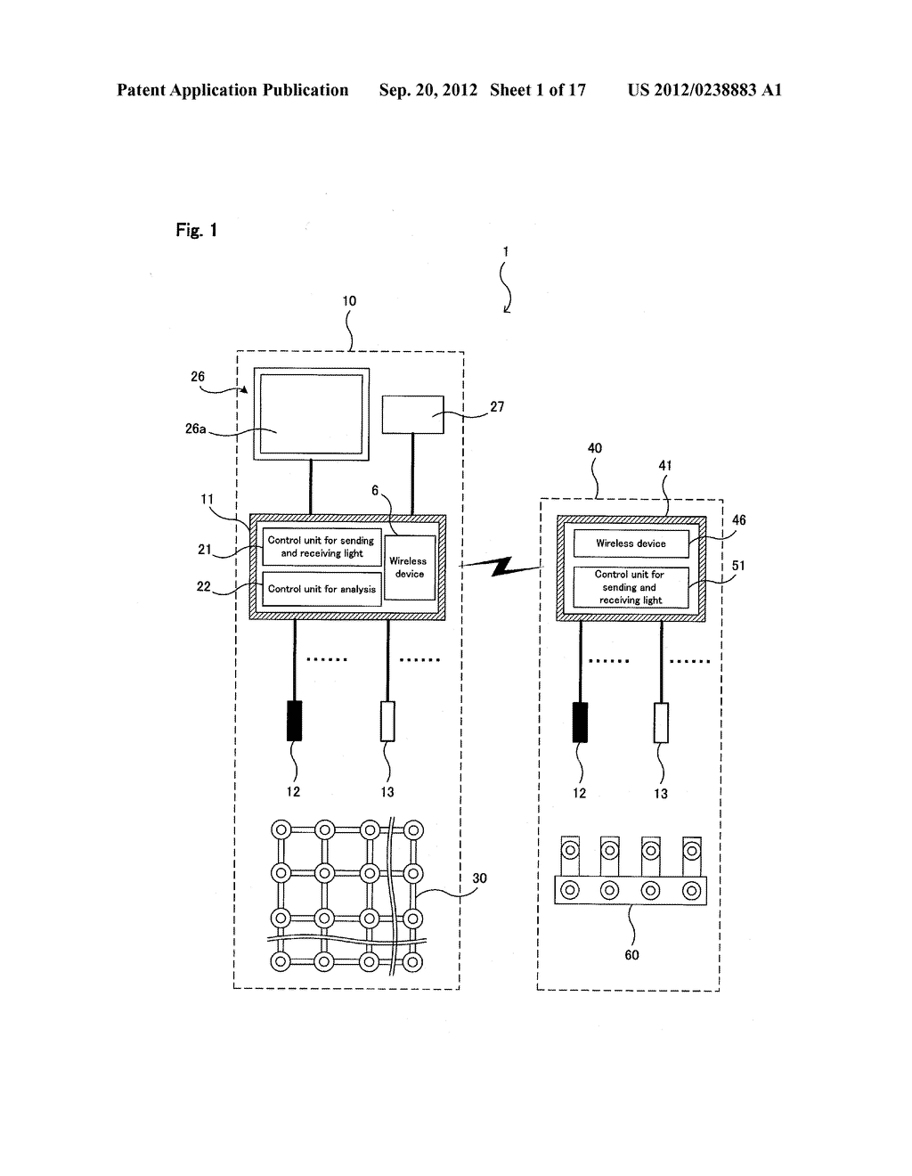 OPTICAL MEASUREMENT SYSTEM, PORTABLE OPTICAL MEASUREMENT DEVICE USED     THEREIN, AND REHABILITATION PLANNING METHOD USING SAME - diagram, schematic, and image 02