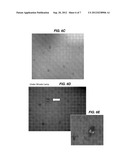 LABELED SKIN LESION BIOPSY PUNCH AND USES THEREOF diagram and image