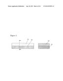 MICRO-STEERABLE CATHETER diagram and image