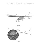 DEVICES AND METHODS FOR THE TREATMENT OF VASCULAR DEFECTS diagram and image