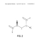 Model For Glutamate Racemase inhibitors and Glutamate Racemase     Antibacterial Agents diagram and image