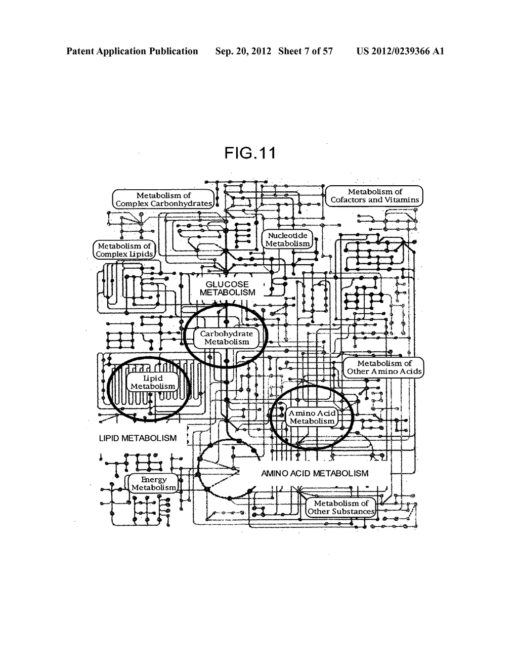 APPARATUS AND METHOD FOR PROCESSING INFORMATION CONCERNING BIOLOGICAL     CONDITION, SYSTEM, PROGRAM AND RECORDING MEDIUM FOR MANAGING INFORMATION     CONCERNING BIOLOGICAL CONDITION - diagram, schematic, and image 08