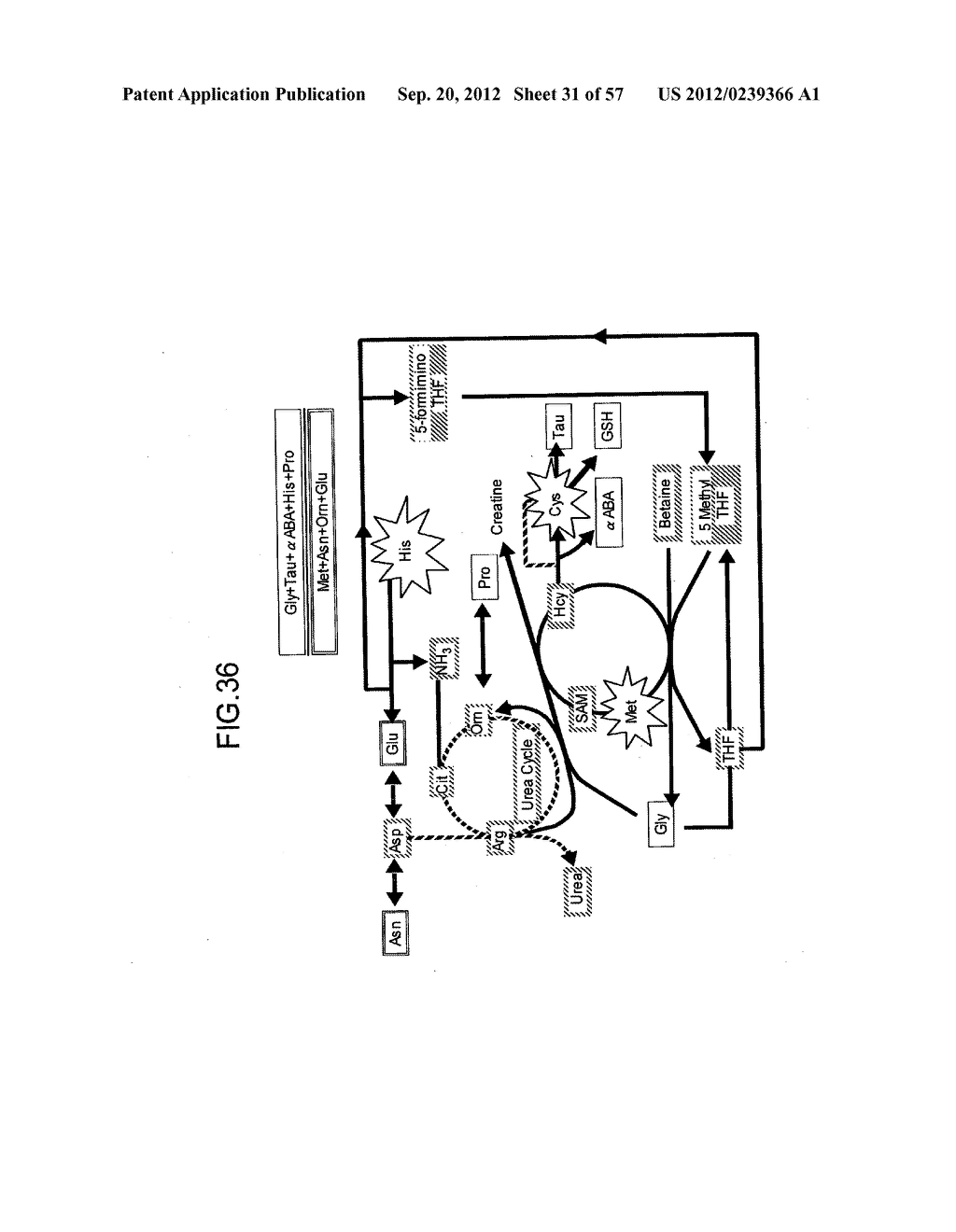 APPARATUS AND METHOD FOR PROCESSING INFORMATION CONCERNING BIOLOGICAL     CONDITION, SYSTEM, PROGRAM AND RECORDING MEDIUM FOR MANAGING INFORMATION     CONCERNING BIOLOGICAL CONDITION - diagram, schematic, and image 32