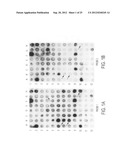 Methods and compositions for detecting and treating retinal diseases diagram and image