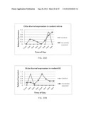 Methods and compositions for detecting and treating retinal diseases diagram and image