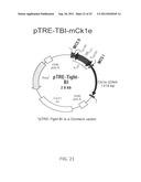 Methods and compositions for detecting and treating retinal diseases diagram and image