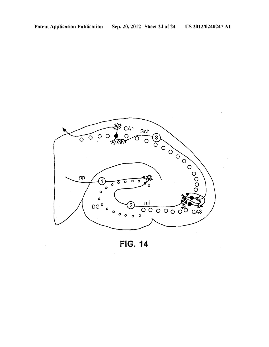 JNK3 MODULATORS AND METHODS OF USE - diagram, schematic, and image 25