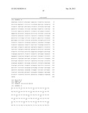 Novel Fatty Acid Desaturase and Uses Thereof diagram and image