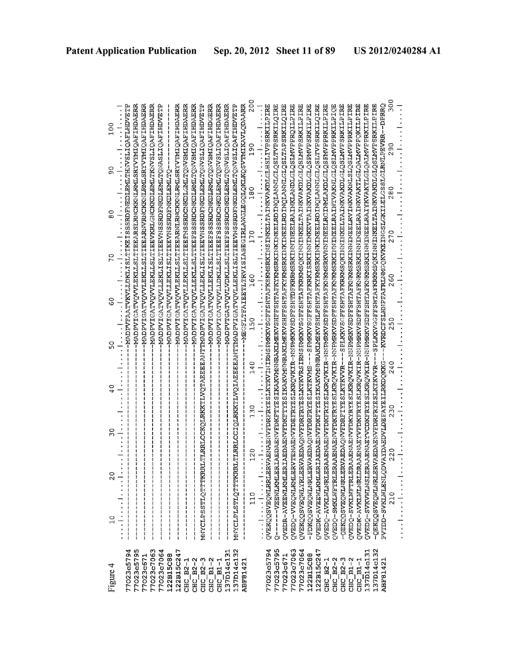 CLONING AND EXPLOITATION OF A FUNCTIONAL R-GENE FROM SOLANUM CHACOENSE - diagram, schematic, and image 12