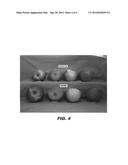 Apple tree,  CN B60  diagram and image