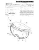 Combination Goggle diagram and image