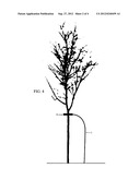 TREE SUPPORT DEVICE diagram and image