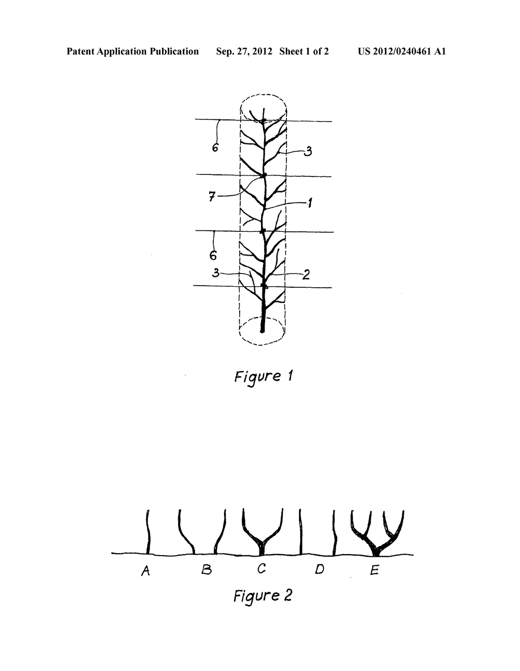 CULTIVATION OF HAZEL TREE WITH THE CROWN HAVING THE FORM OF VERTICAL     SPINDLE ON THE SUPPORT - diagram, schematic, and image 02