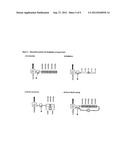 Treatment of Asthma, Allergic Rhinitis and Improvement of Quality of Sleep     by Temperature Controlled Laminar Airflow Treatment diagram and image